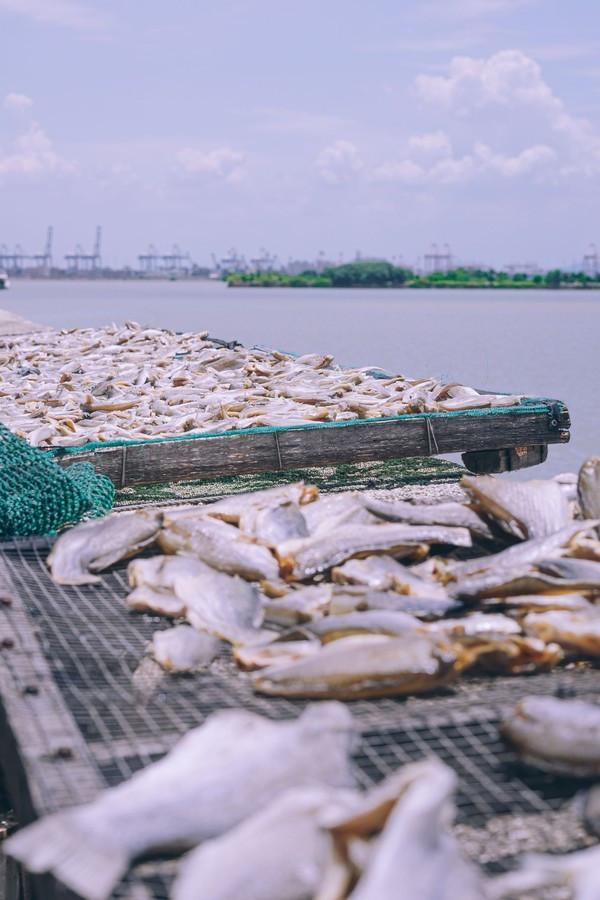 湾区光影魅力,南沙湾区超美风景线