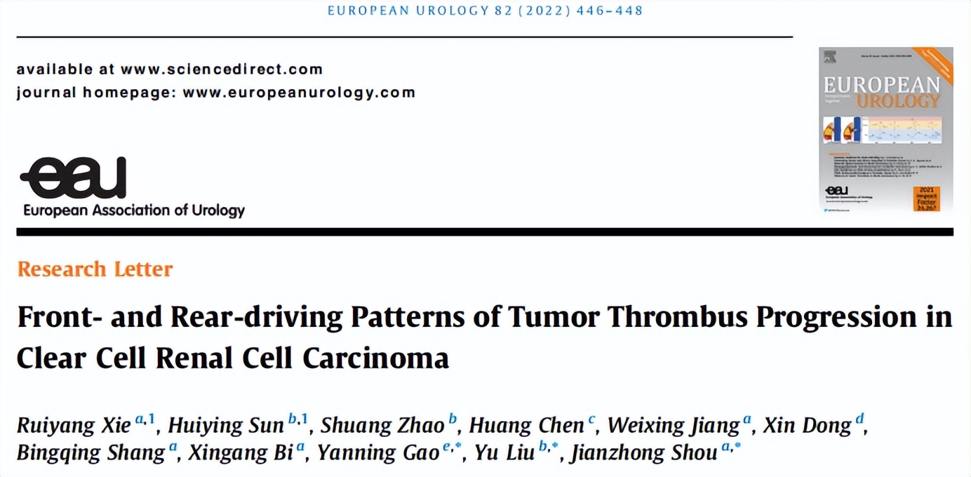 肾癌转肺免疫治疗最新进展,肾癌治疗新进展