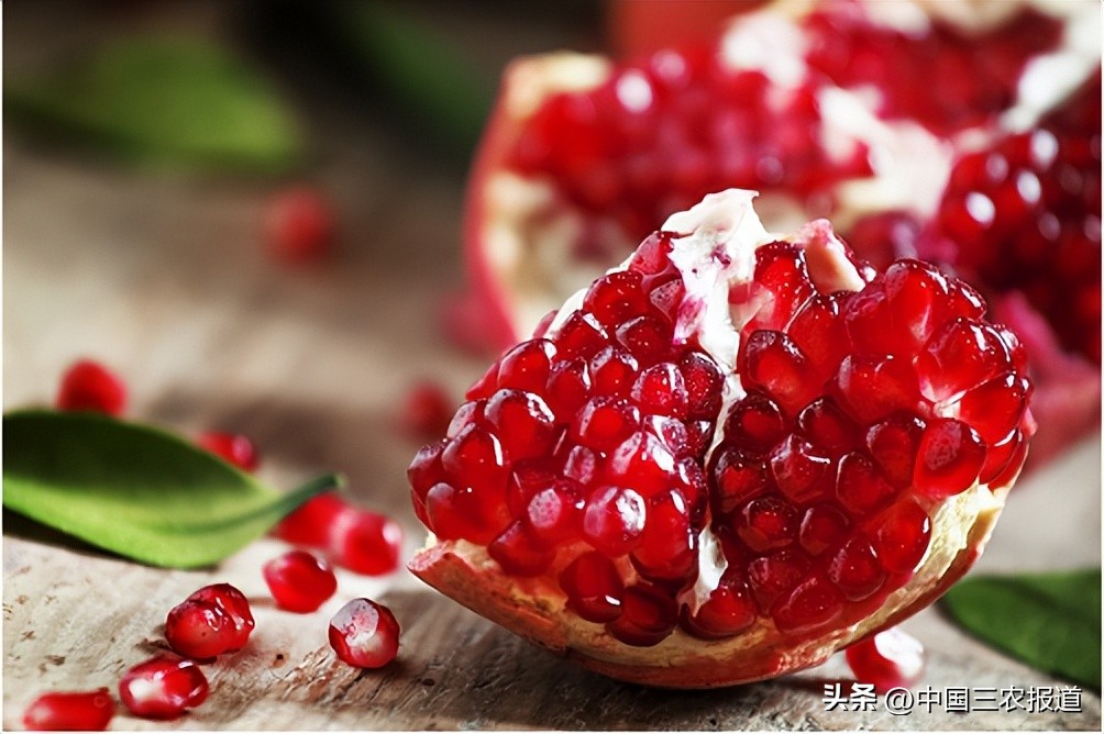 中秋节终极拷问：为什么没有“报恩”的无籽石榴？