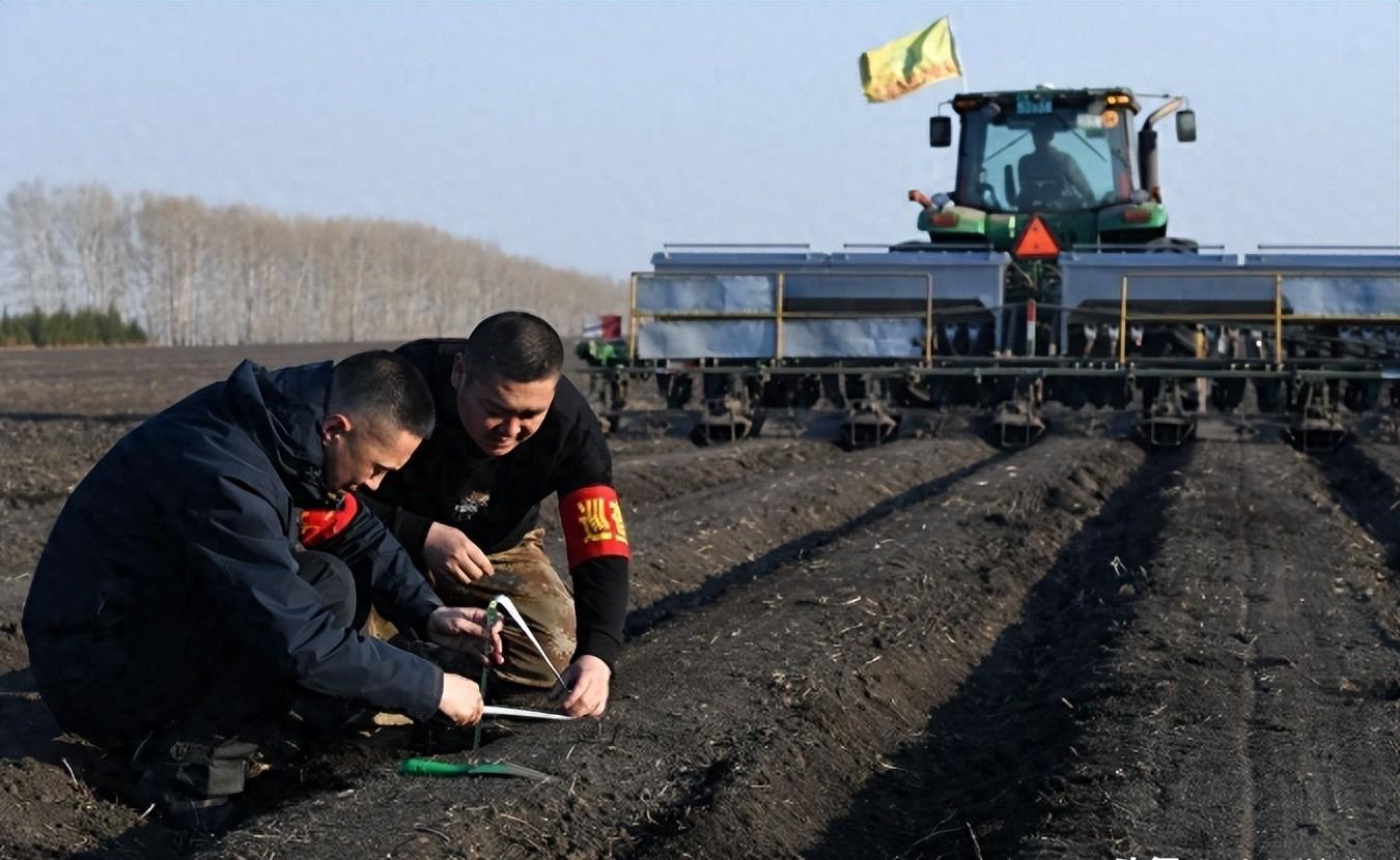 熊猫40年血泪史,大熊猫之殇