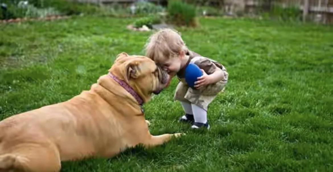 幽默笑话不胜酒力,关于水的幽默笑话段子