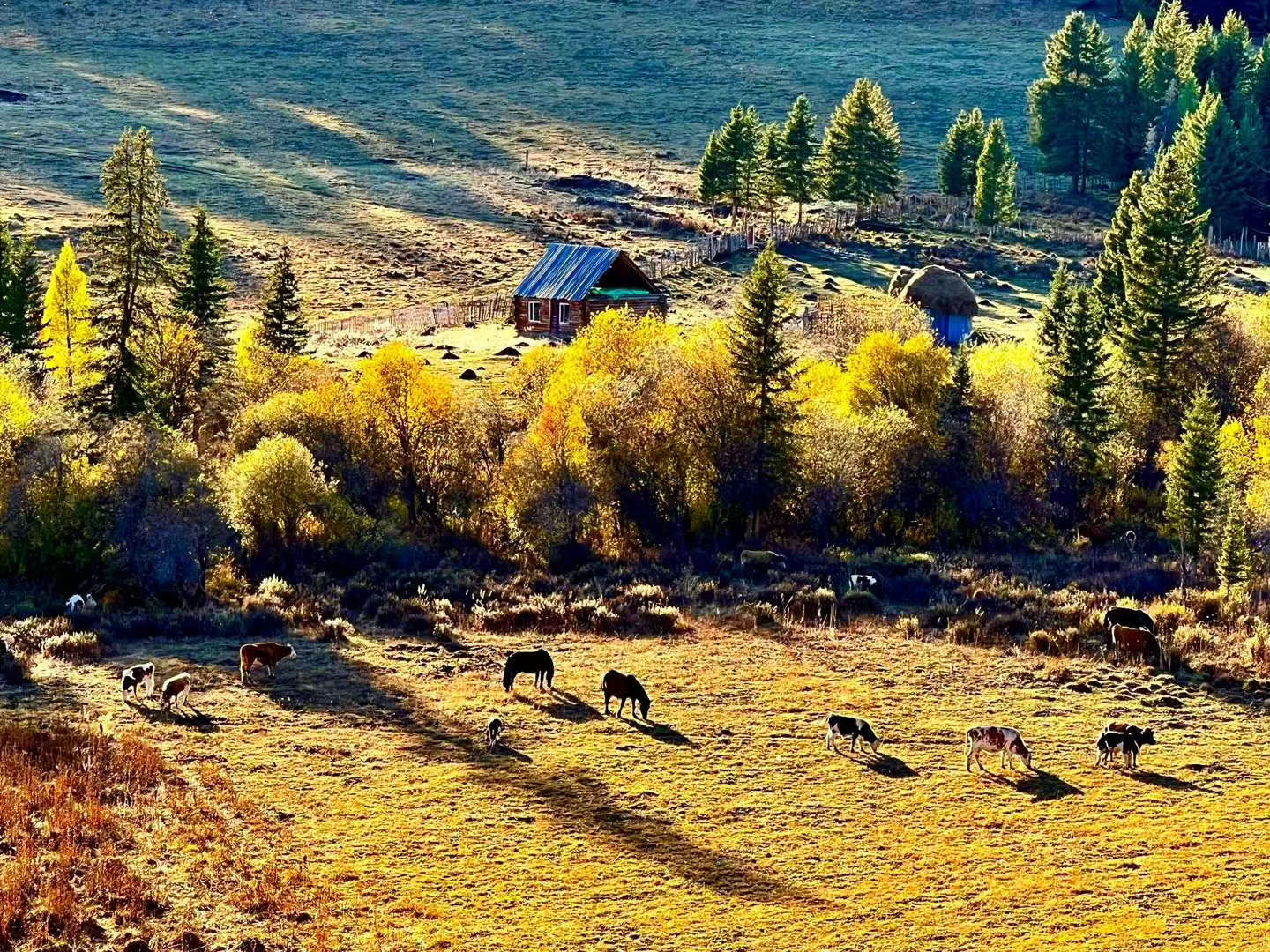 四明山赏秋最佳自驾路线,10条最美旅游线路