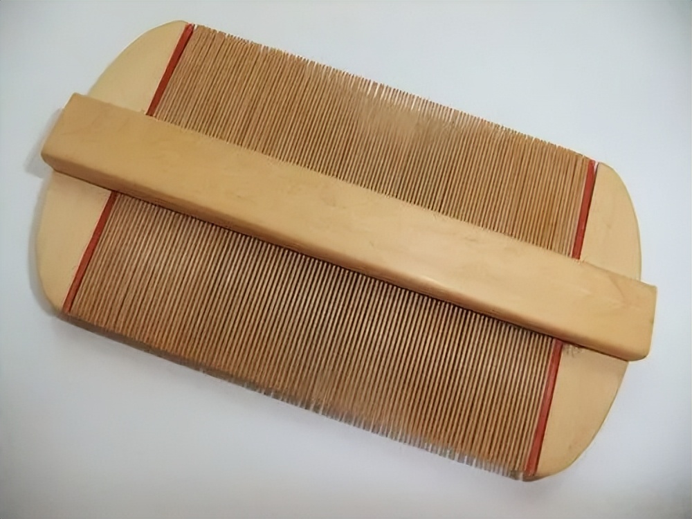 虱子现在灭绝了吗,虱子在自然界存在吗