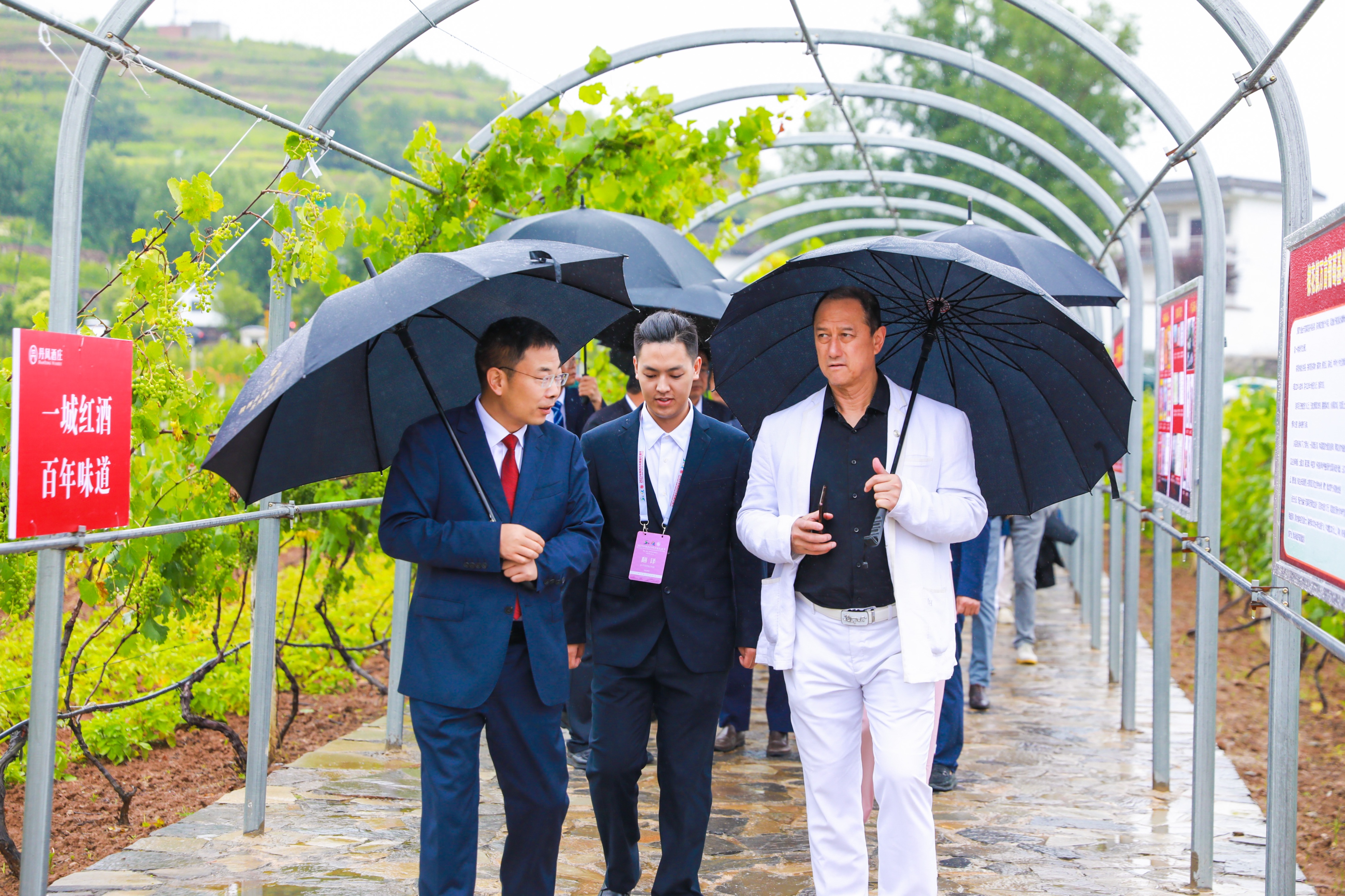 丹凤县第四届红酒文化节,丹凤县2024年红酒节召开时间