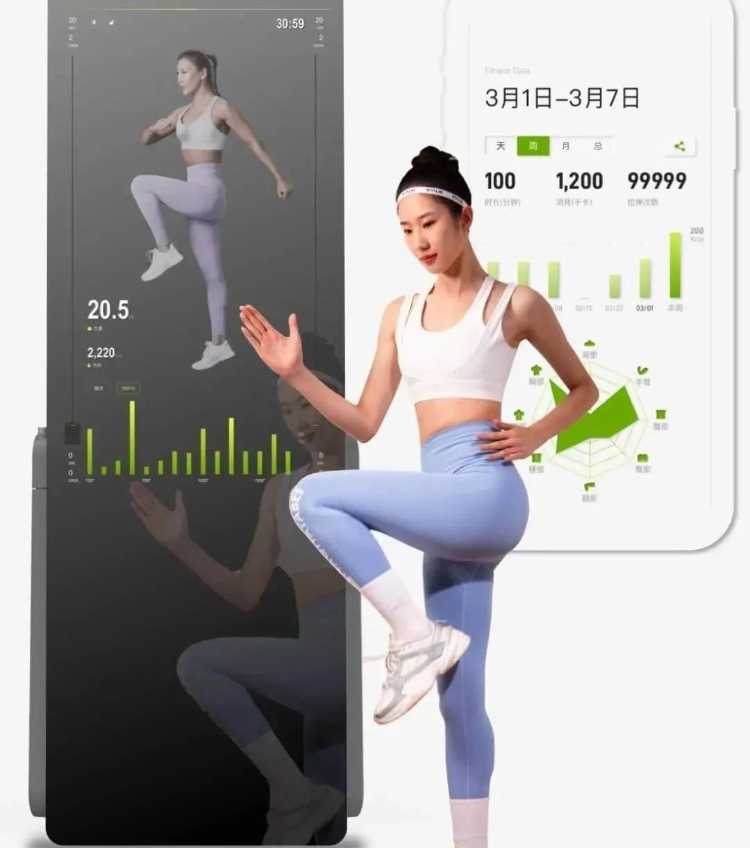 室内健身跑步机哪个牌子好,国内健身跑步机