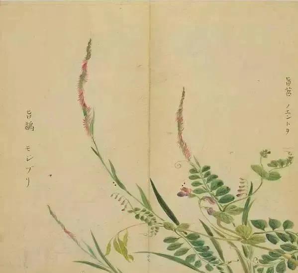 陈风月诗经原文,诗经陈风月出全文注音