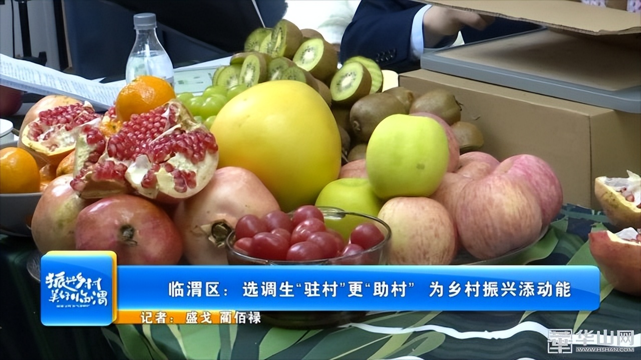 选调生助力乡镇,驻村干部助力乡村振兴