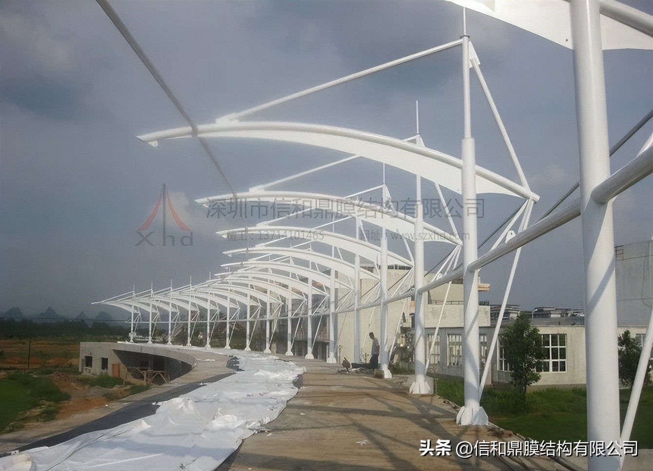 张拉膜看台遮阳棚,广西张拉膜遮阳棚工程