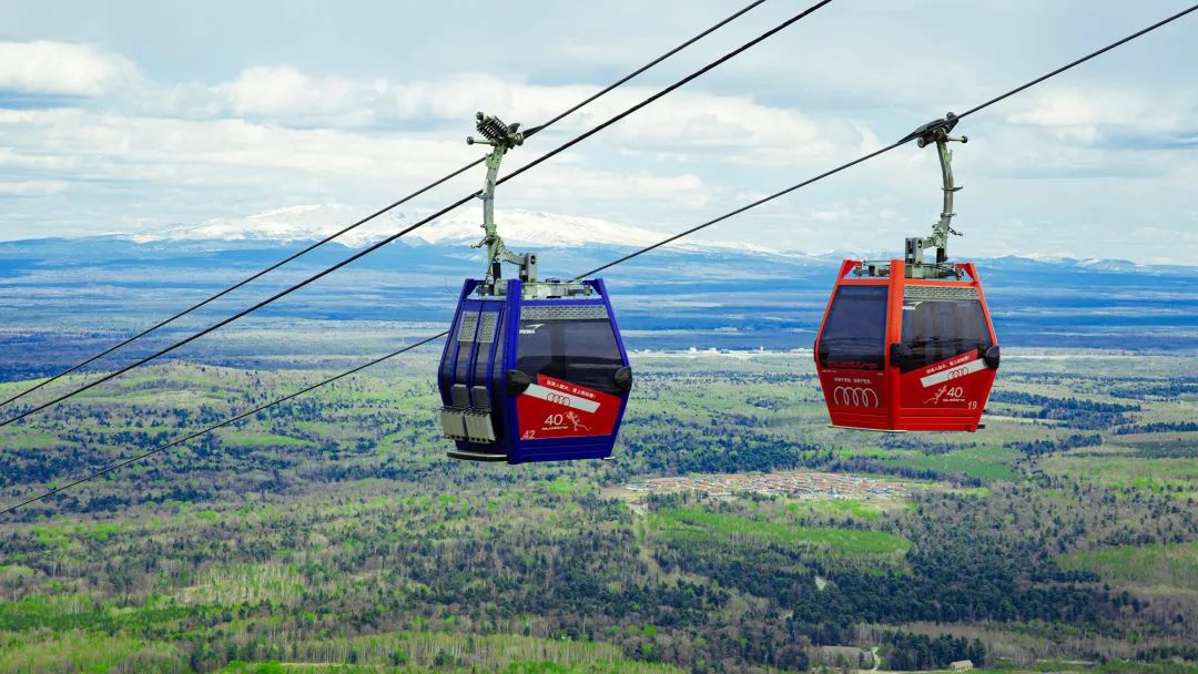 红橙黄绿正在上线,全家都能爱上这个“限定款”