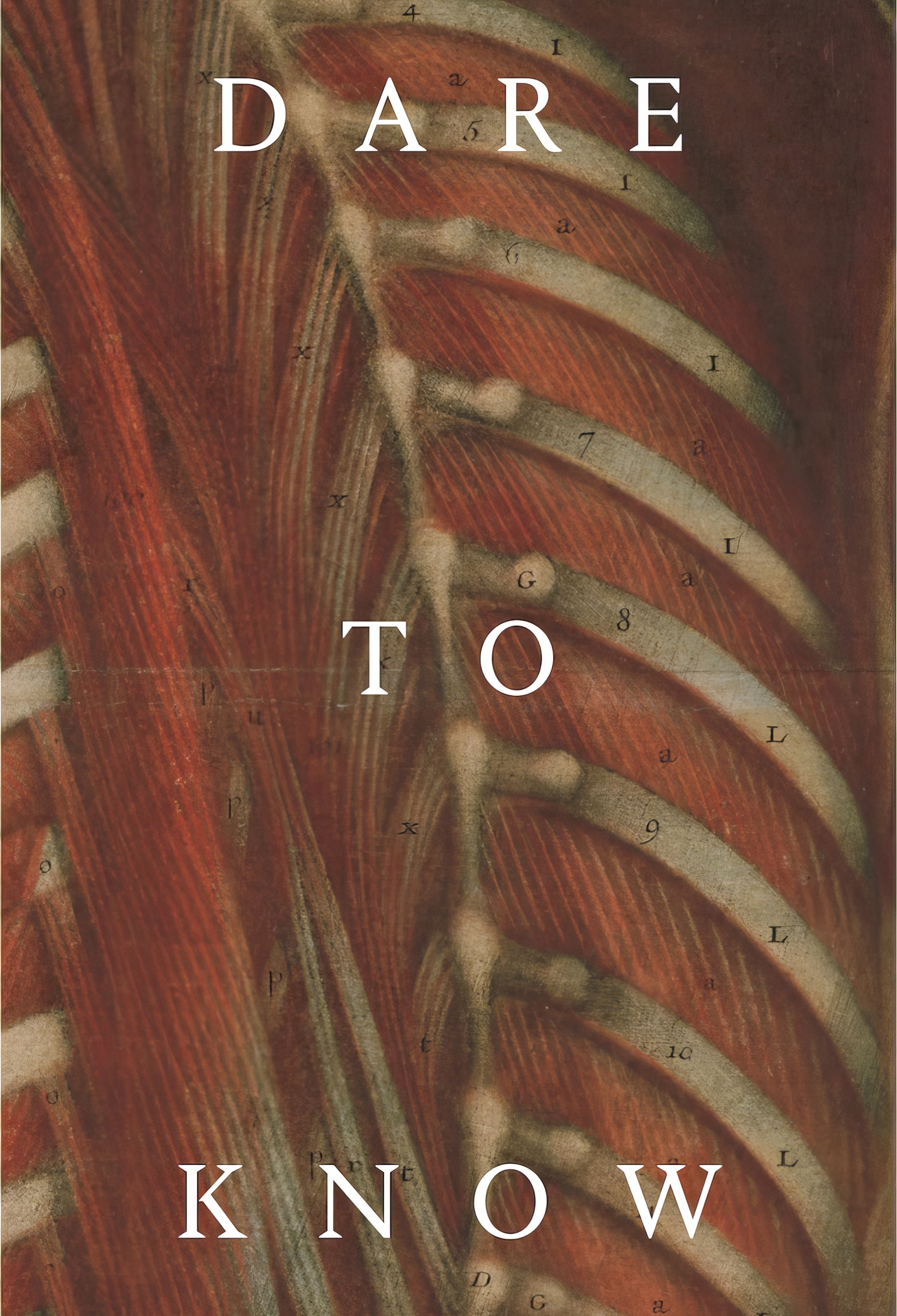 纽约时报最佳童书,2023《纽约时报》年度杰出书籍