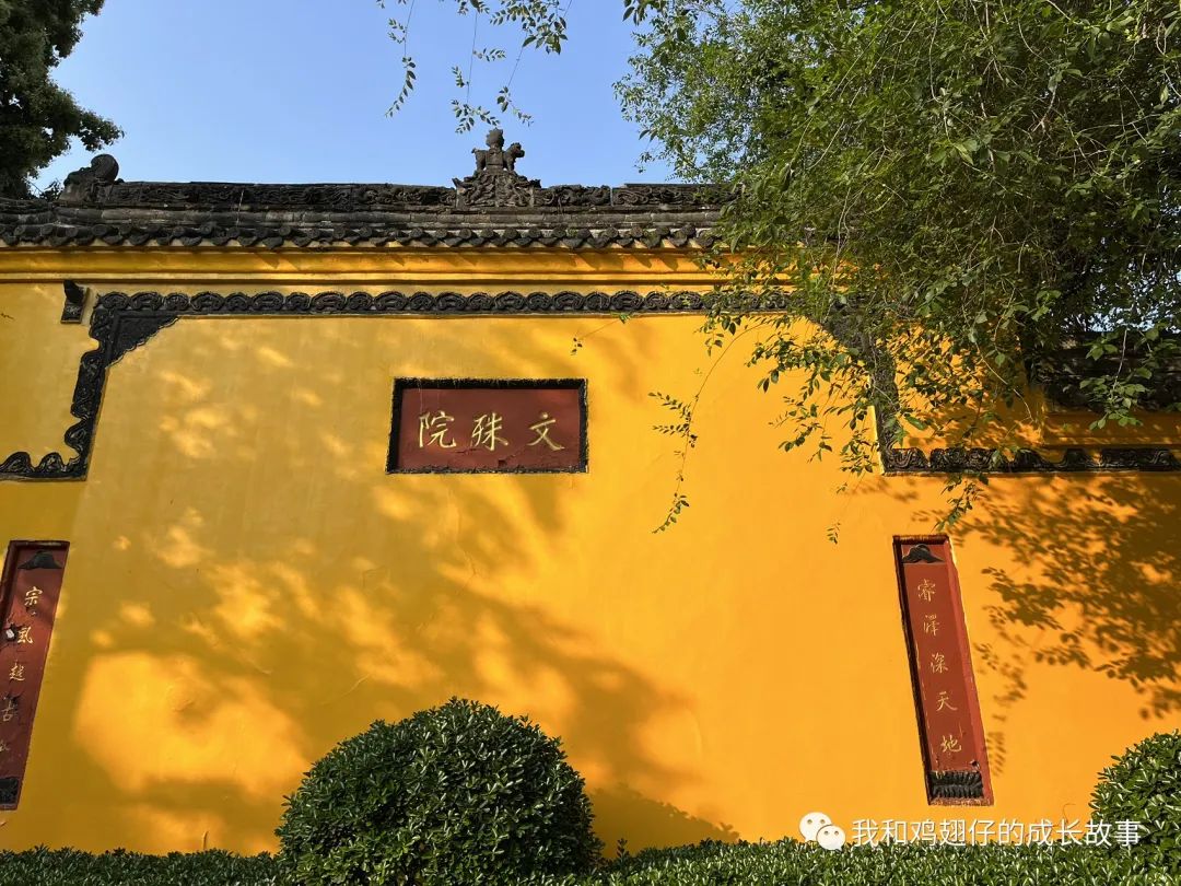 成都双流区特色美食排行榜前十名,成都建设路美食一条街详细地址