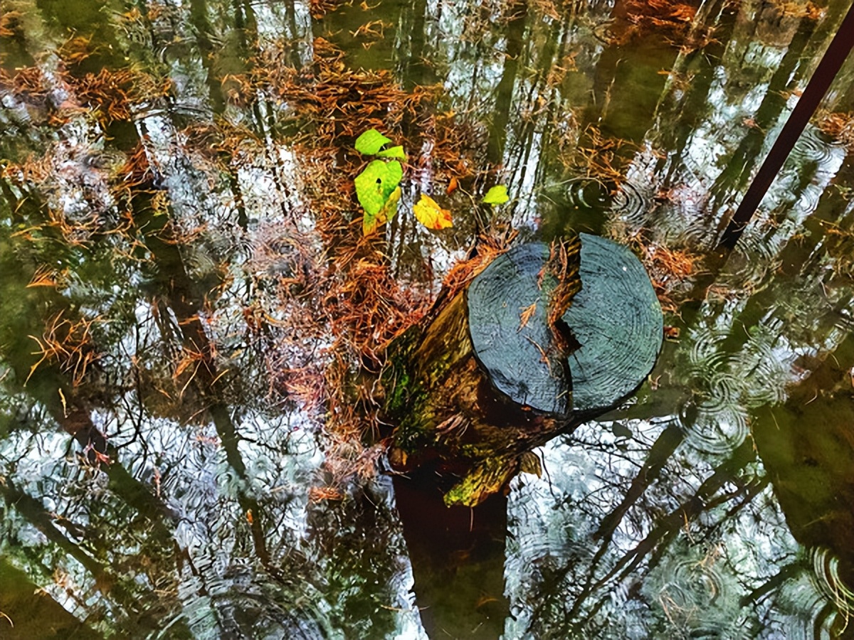 在江苏的“绿林仙海”中，寻找侠气与柔情