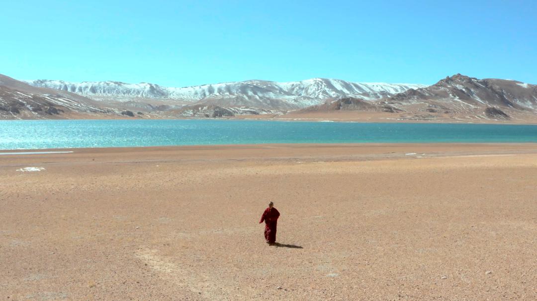 15部豆瓣9.0以上高分记录片,五部必看的高分电影国庆在家就看