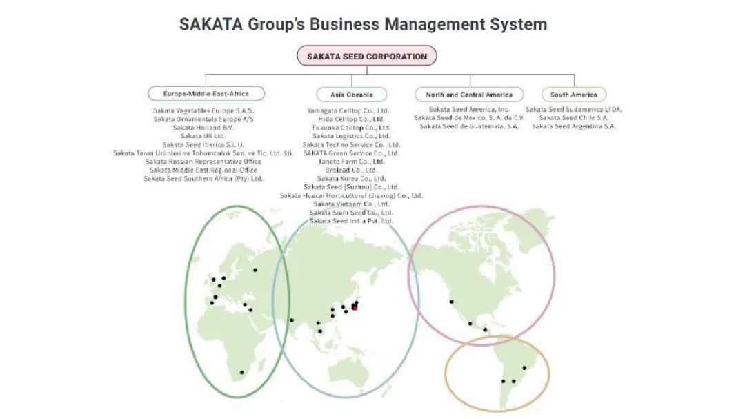 鍐滅鏅哄簱鍘熷垱鎶ュ憡,鍐滅鏅哄簱