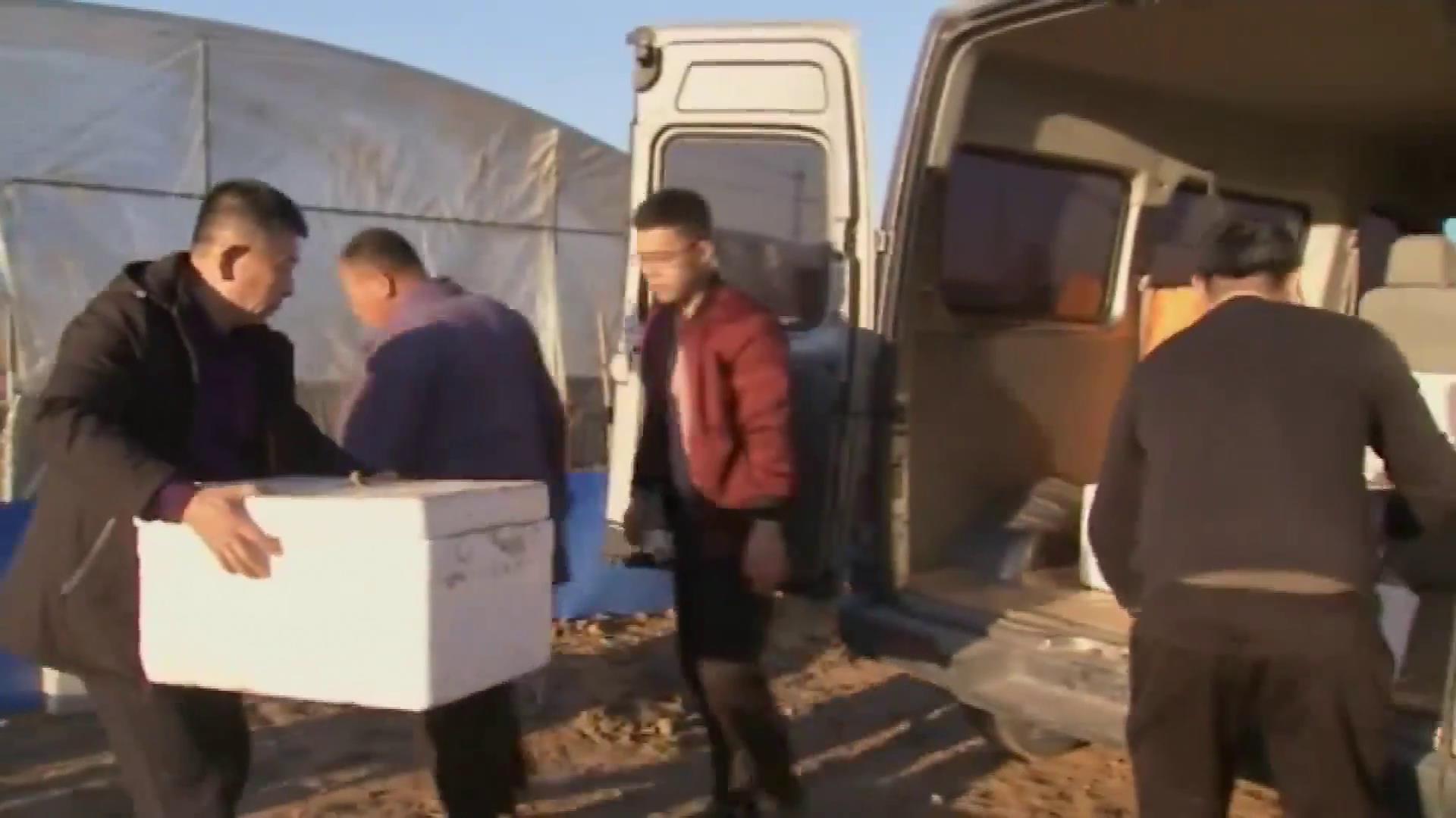 养林蛙收入,养林蛙的小伙