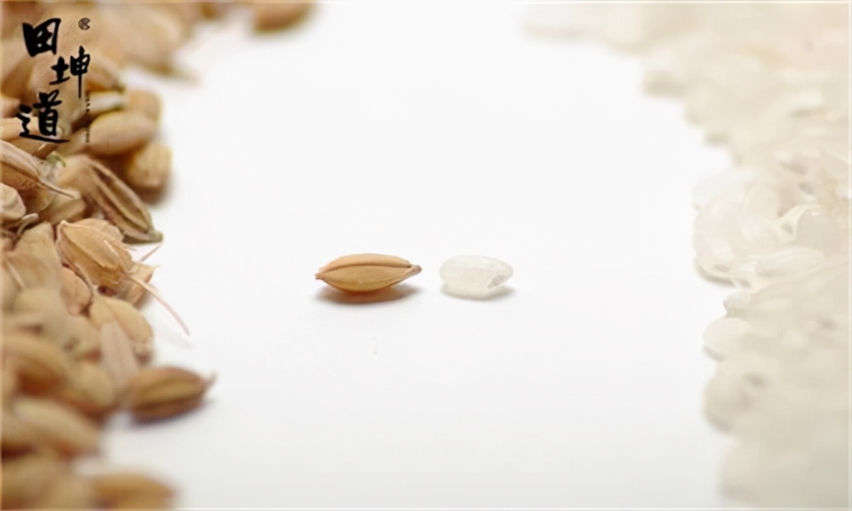 米中贵族稻花香，香气馥郁直击味蕾新体验