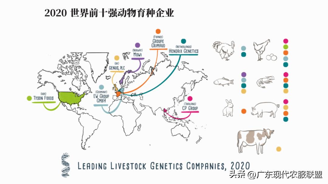国内涉农企业有哪些,中国涉农企业2019排行榜