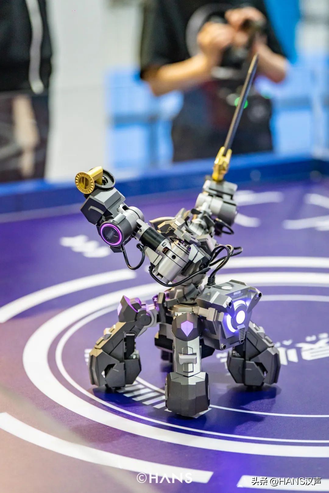 楂樻墜鑱氶泦,楂樻墜姹囪仛