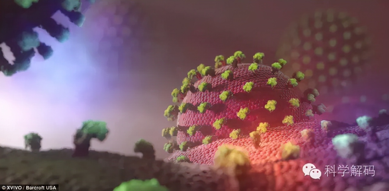 生命体内的微观世界,一滴水放大10000倍后的微观世界