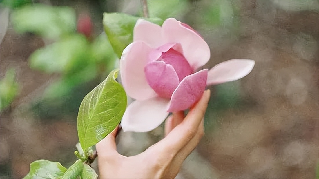 不管有没有钱，只要家中出现了这“三个吉兆”，家就是福地