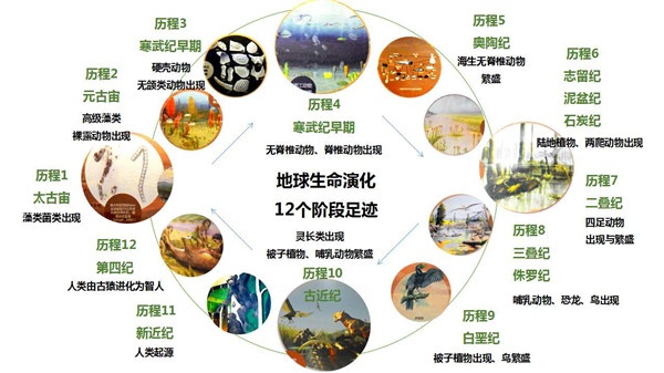 5亿多年前的“四不像”麒麟虾,为什么成为了进化论的又一实锤