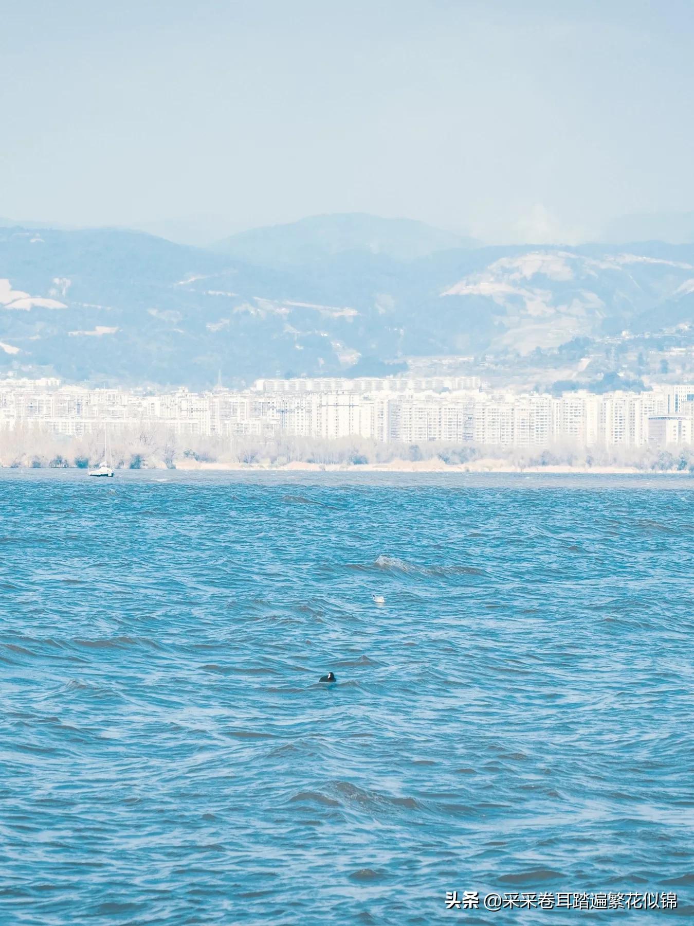 重庆自驾西昌邛海,西昌邛海环湖自驾游攻略