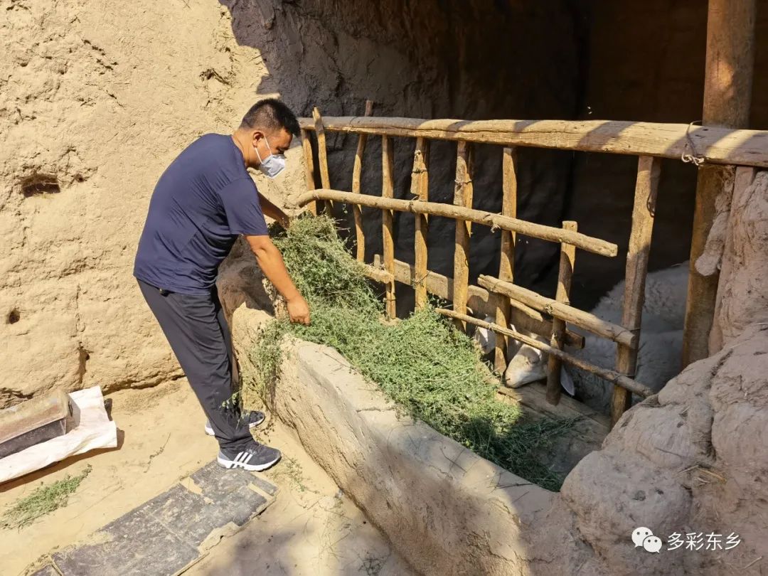 浼樼椹绘潙宸ヤ綔闃熷憳涓汉浜嬭抗,浼樼椹绘潙宸ヤ綔闃熷憳鍏堣繘浜嬭抗