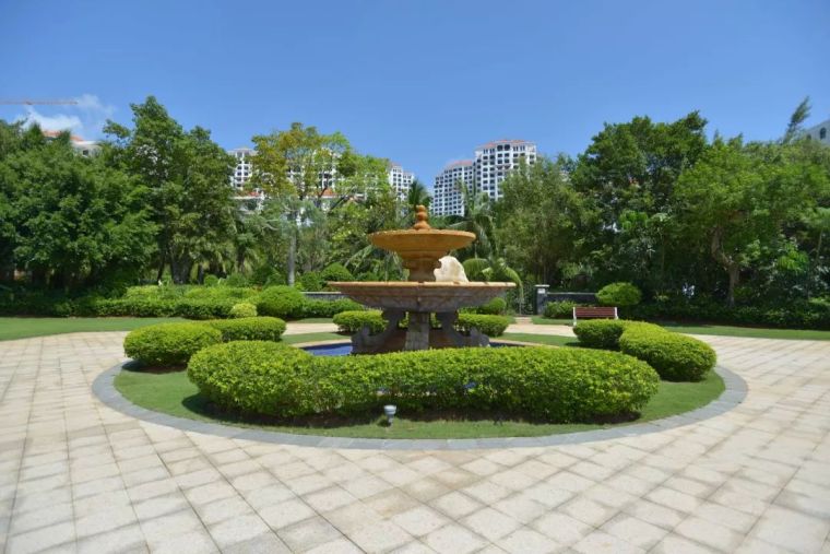 绿化工程施工管理流程,边坡绿化施工流程