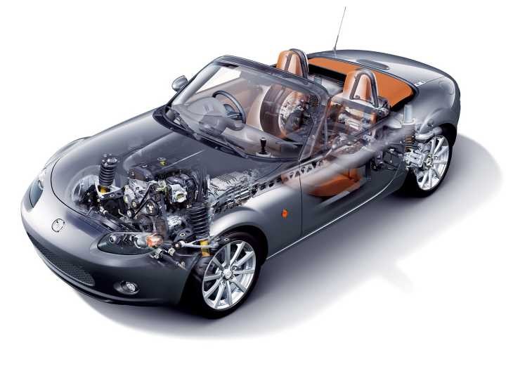 人马一体是什么特性,人马一体解读