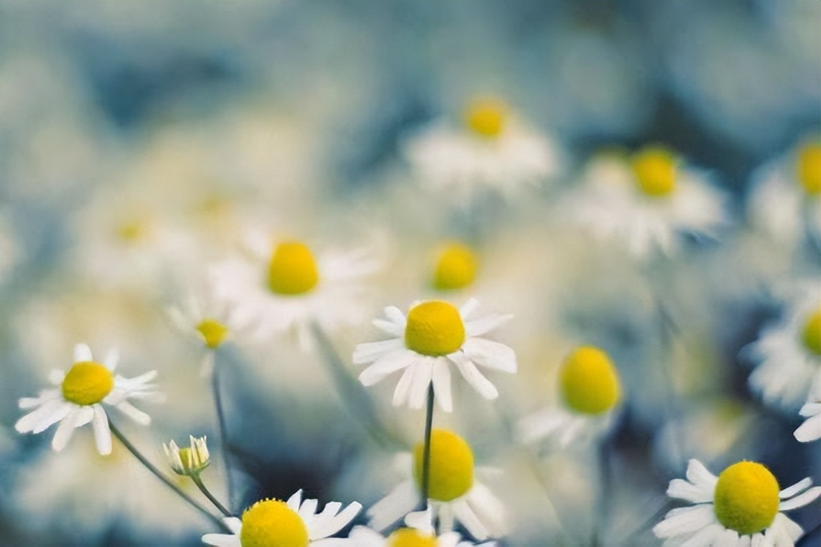 一个家庭慢慢走向衰败的前兆,家庭的衰败取决于5个根本