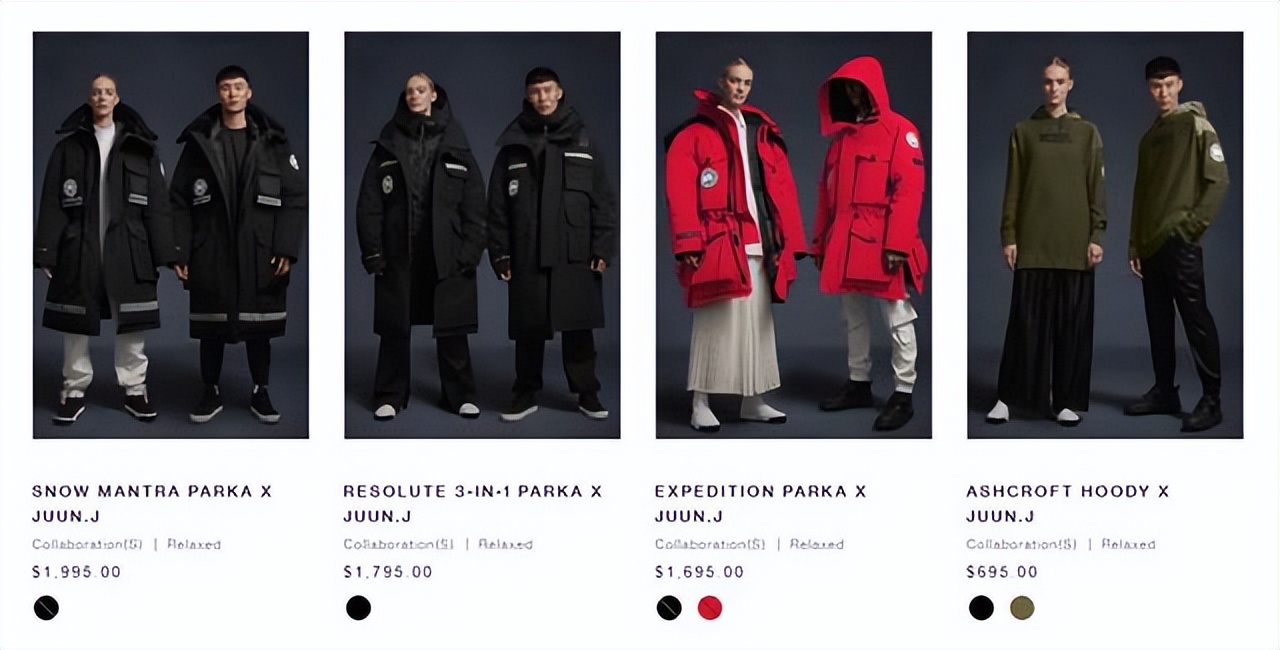 羽绒服国际品牌加拿大鹅,羽绒服界的爱马仕是什么