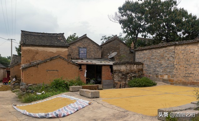 乡土小说：男欢女爱（十八）