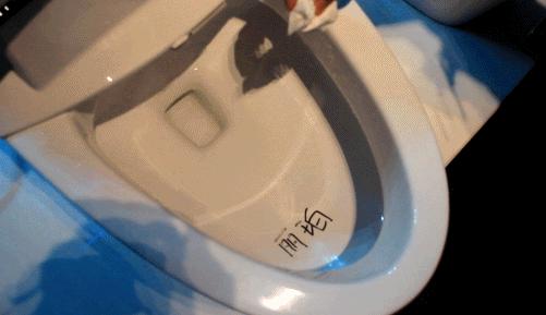 智能马桶到底值不值得入手,智能马桶到底好还是不好