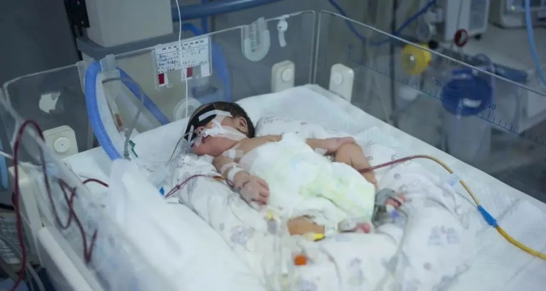 小女孩疑遭父母当街残忍虐待后续,一岁女婴被虐待