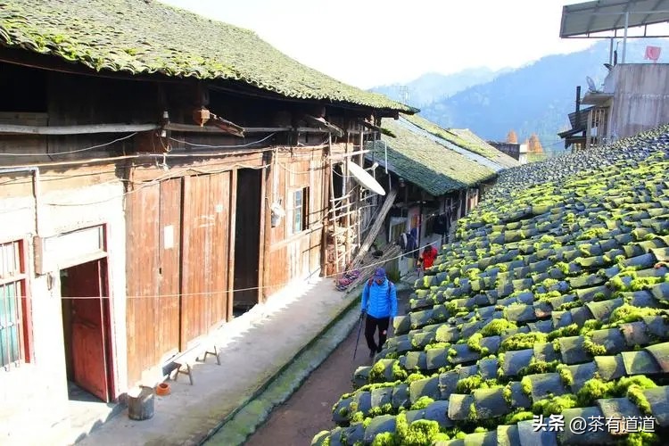 荥经茶马古道徒步线路,雅安荥经茶马古道穿越