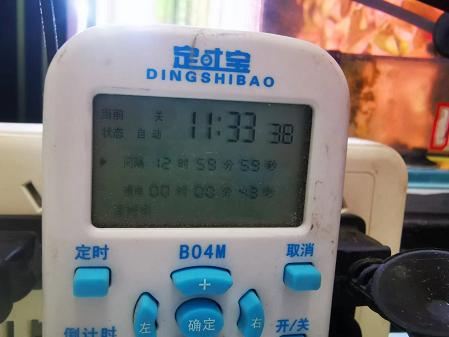 七彩水草缸怎么抑制藻类,水草缸怎么治疗水霉