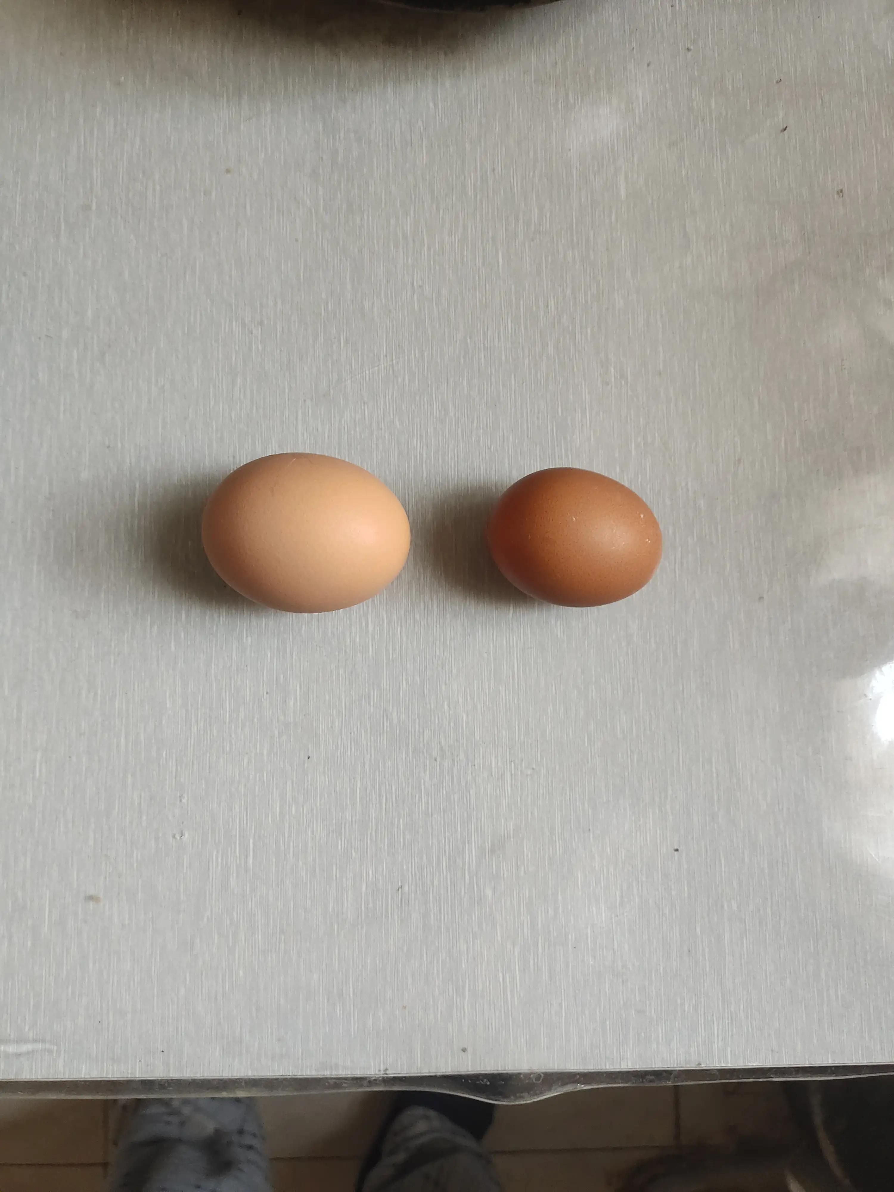 多多买菜免费领水果是骗人吗,多多买菜在哪里打开