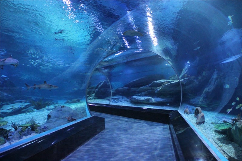 青岛十大热门景点,青岛市内旅游十大必去景点