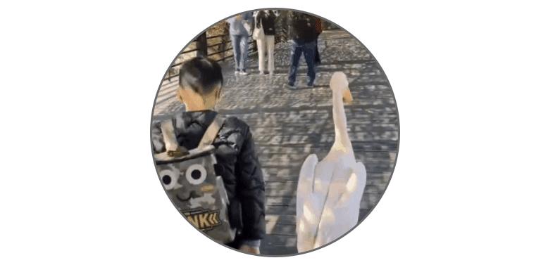 男孩景区遭鹈鹕灌顶,男孩被醍醐灌顶在什么景区