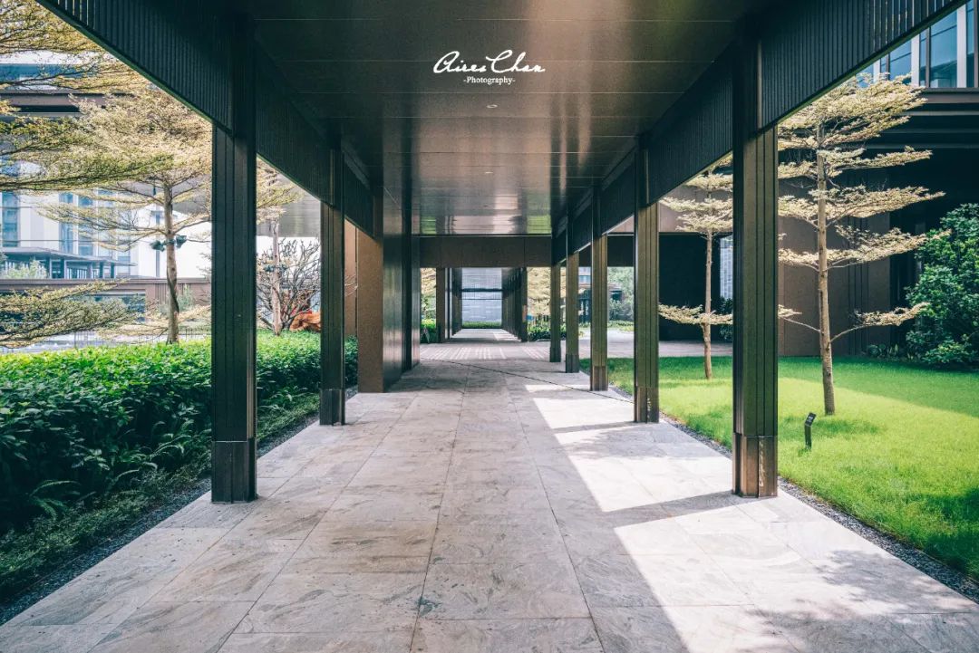 广东最新开业万豪酒店,新开业万豪酒店