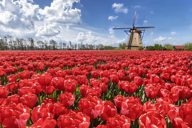 全国冬季最值得去旅游的10个地方,最适宜旅游的10个国家