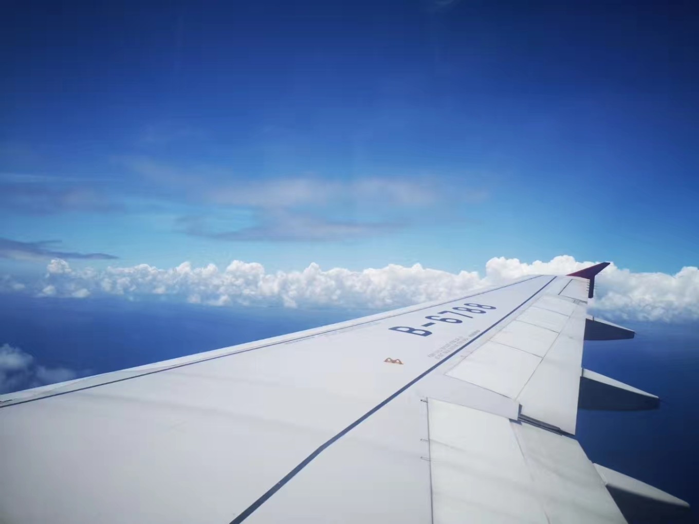 暑期档2019年,2019年暑期档