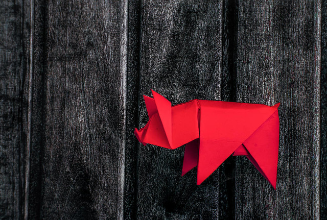 7月5号属猪的财运如何,1971年属猪的人怎样摆脱霉运