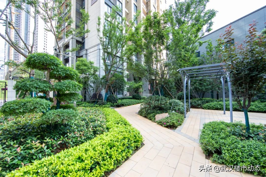 以前吹嘘的网红楼盘,网红楼盘出尽了风头