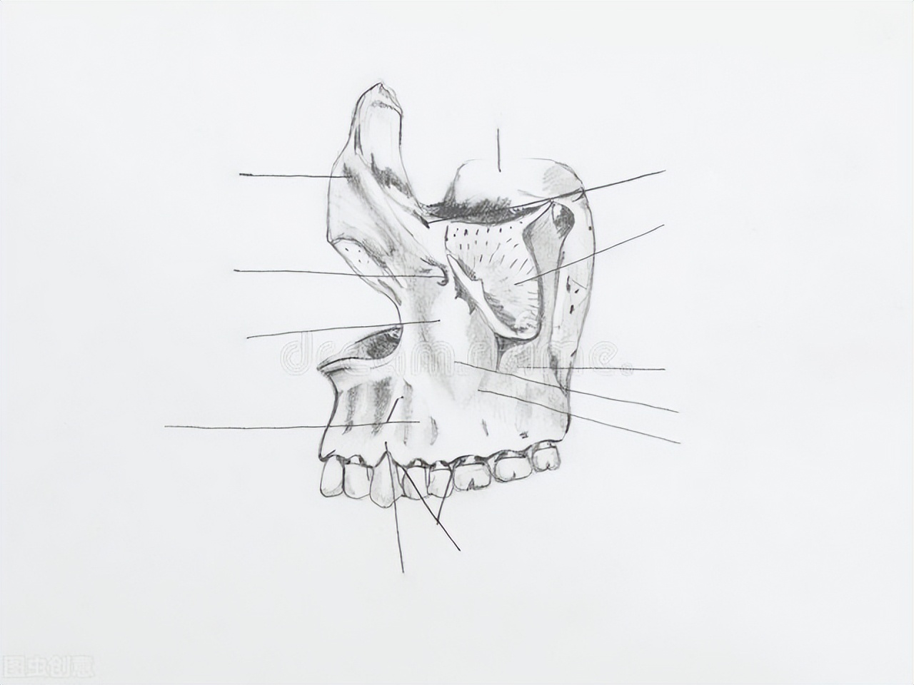 “一跳一跳”的神经性头痛，如何治疗效果好