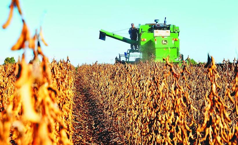 中国赠送美国大豆种子,中国大豆种子是谁送给美国的