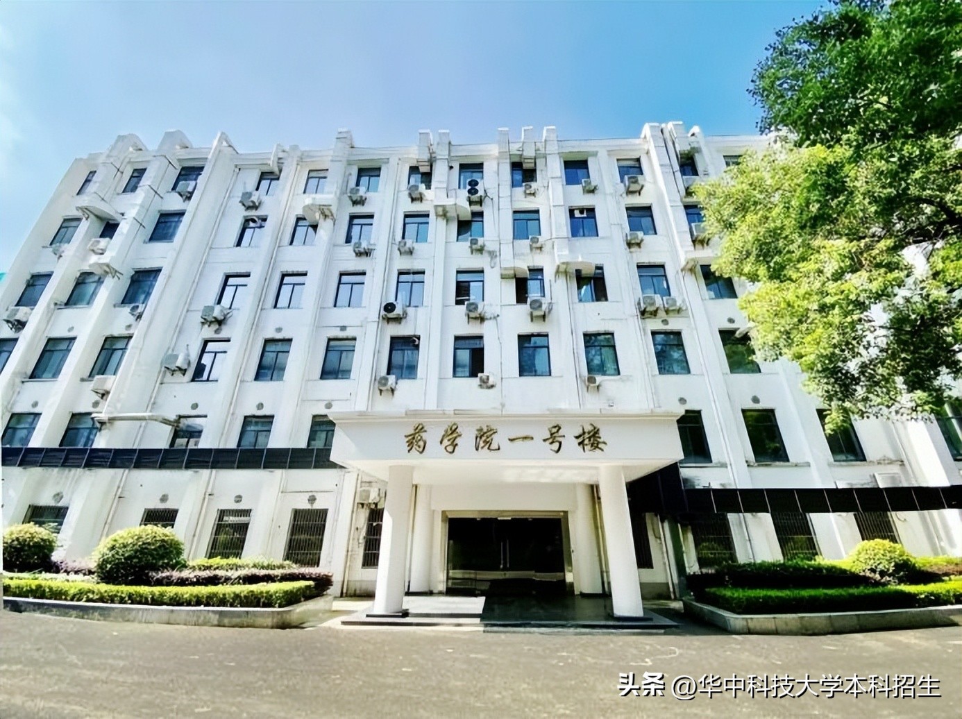 攻克重大瓶颈！华中科技大学研发新药获临床批件，为4.5亿患者保肝护肝！