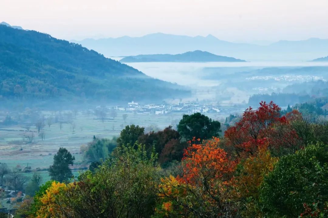 宏村小众景区,宏村山野小院