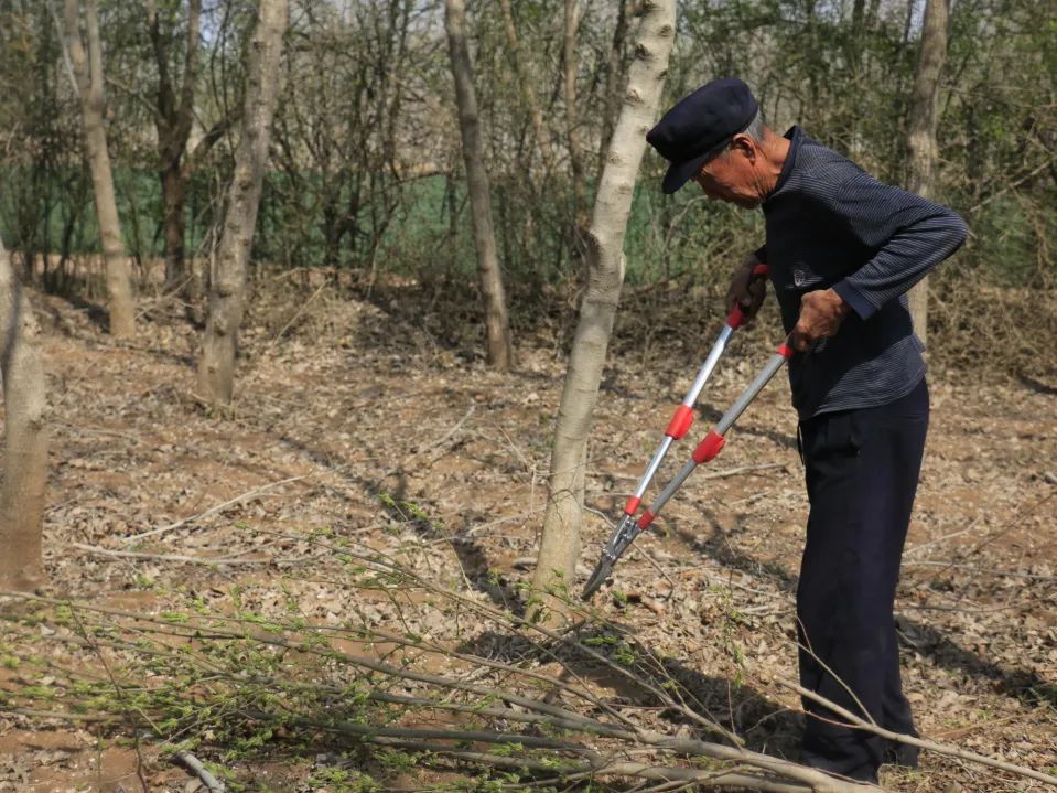 小产业带动乡村振兴大步伐,产业扶贫助力乡村振兴