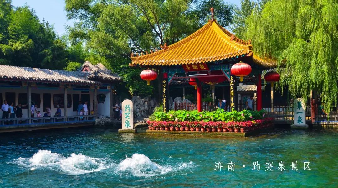 邀您共赏春,邀您一起奔赴冬日之约